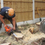 Stump Removal in Cheadle