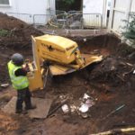 Tree Stump Removal in Cheadle