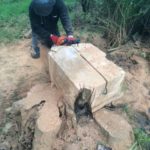 Stump Remover in Chorlton