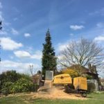 Tree Stump Removal in Wilmslow