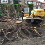 Stump removal in Alderley Edge