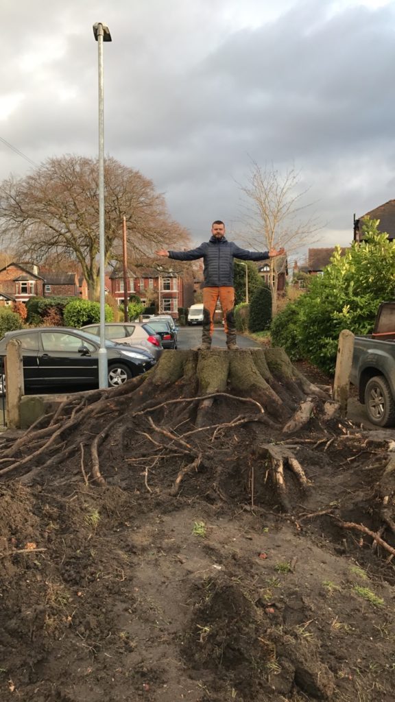 Tree Stump Sale, Cheshire