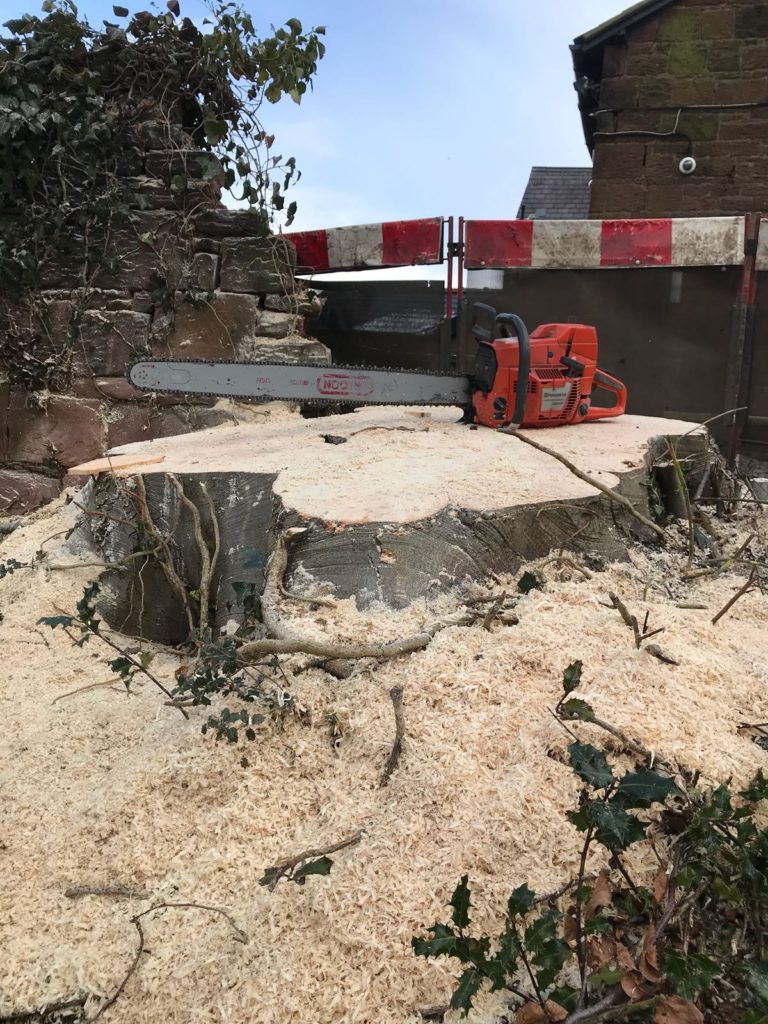 Stump Cheshire