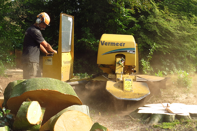 stump-removal-4