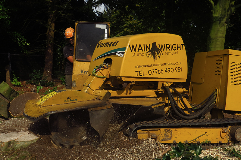 stump-removal-3