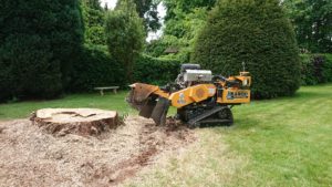 Wainwright Stump Removal | Professional Tree Stump Grinding and Removal Cheshire and the North West | Machine