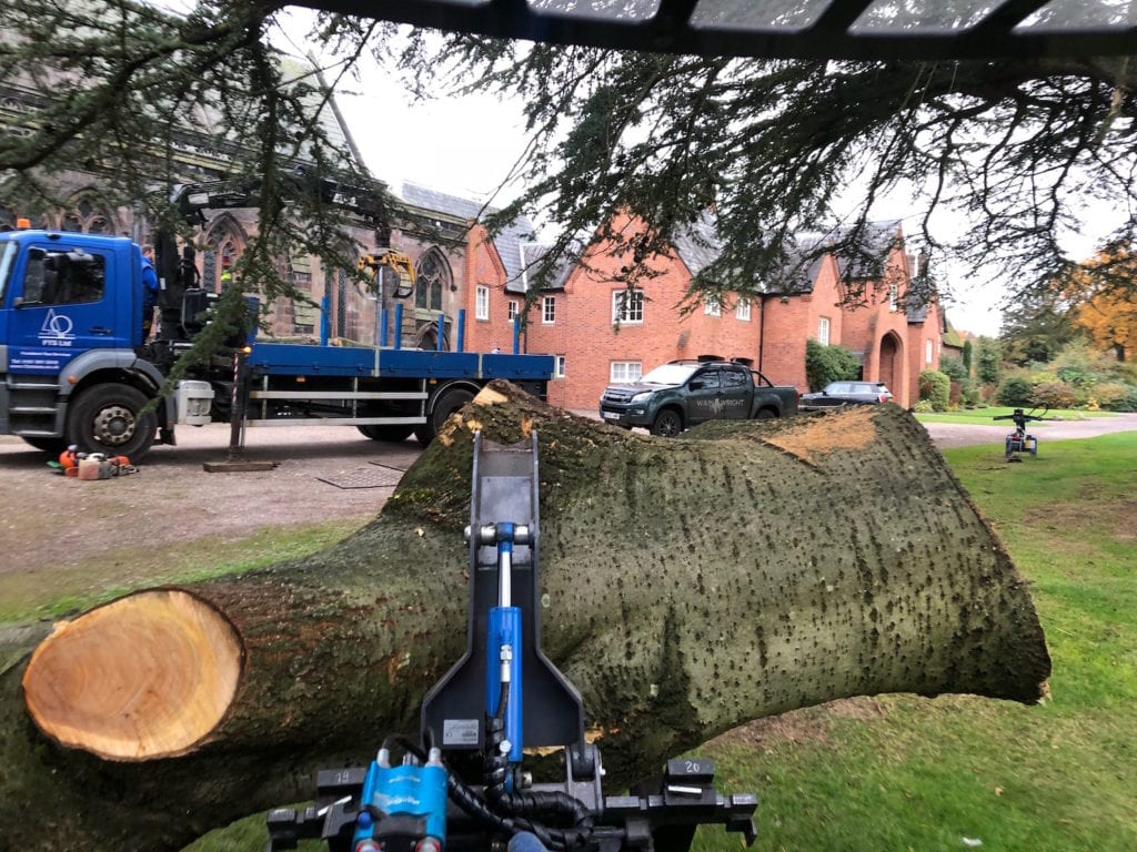 Wainwright Stump Removal | Professional Tree Stump Grinding and Removal Cheshire and the North West | Tree Removal